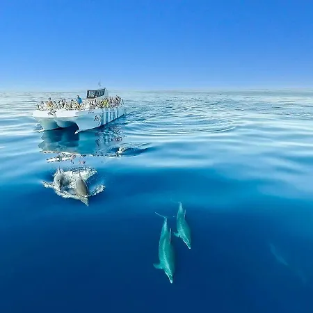 Holiday home Cozy Townhouse Rafaella Near Sao Rafael *