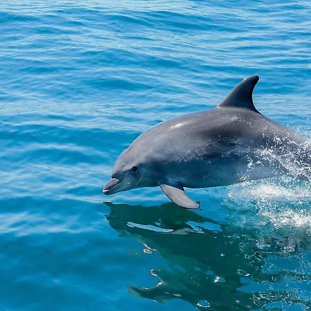 Cozy Townhouse Rafaella Near Sao Rafael Albufeira